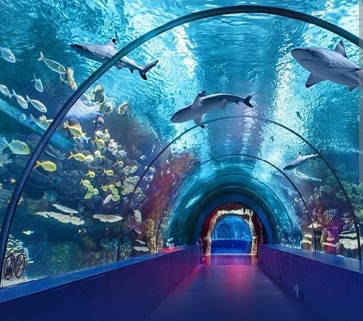 Antalya Akvaryum Rehberi: Belek, Lara ve Kemer’den Ulaşım